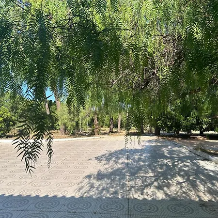 招待所 Quinta Algarve 圣巴巴拉德尼克斯