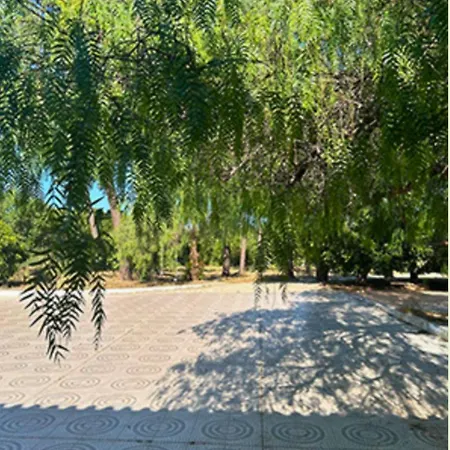 Quinta Algarve * 圣巴巴拉德尼克斯